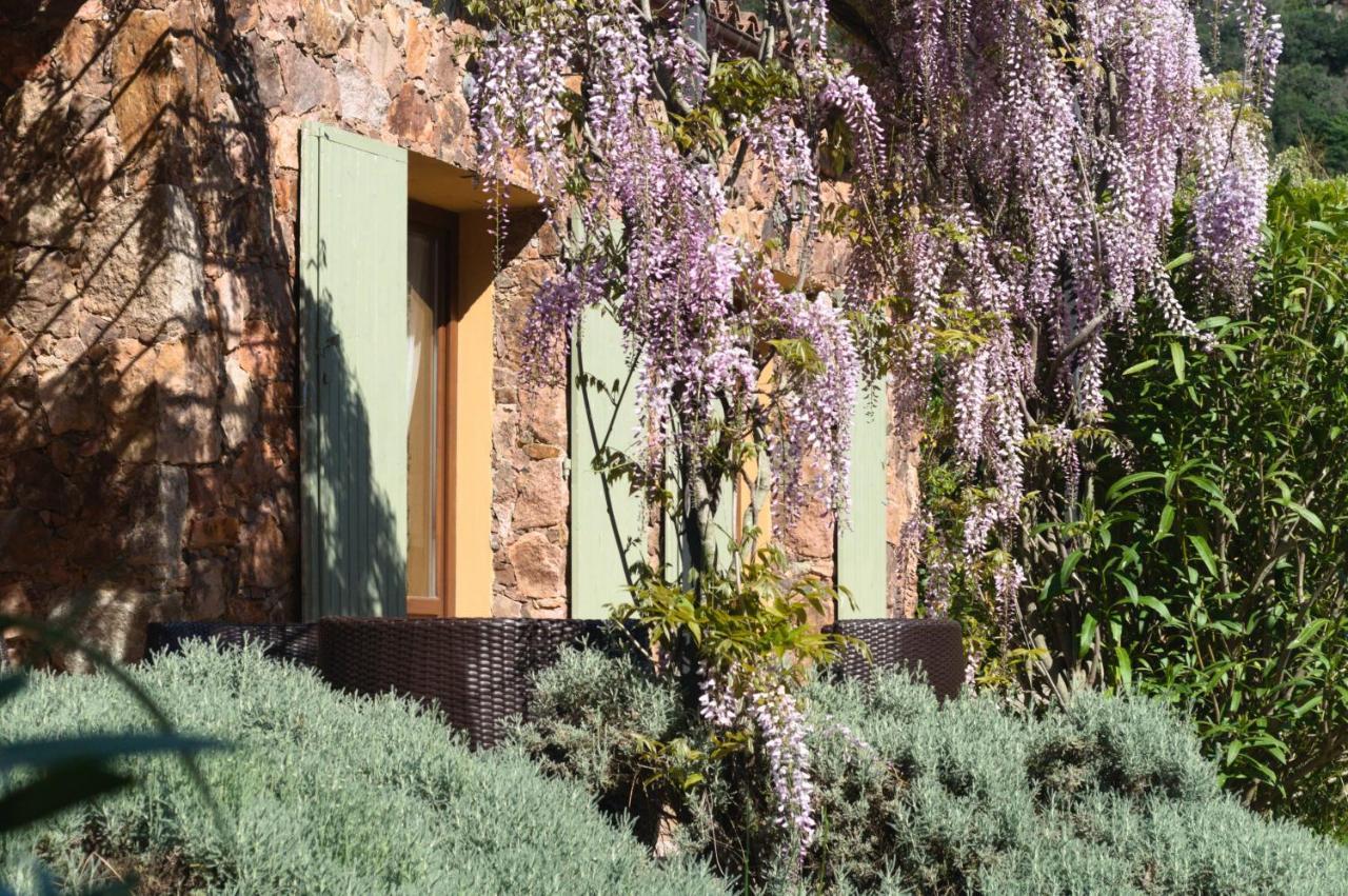 Domaine Codaleone Serriera (Corsica) Exterior foto