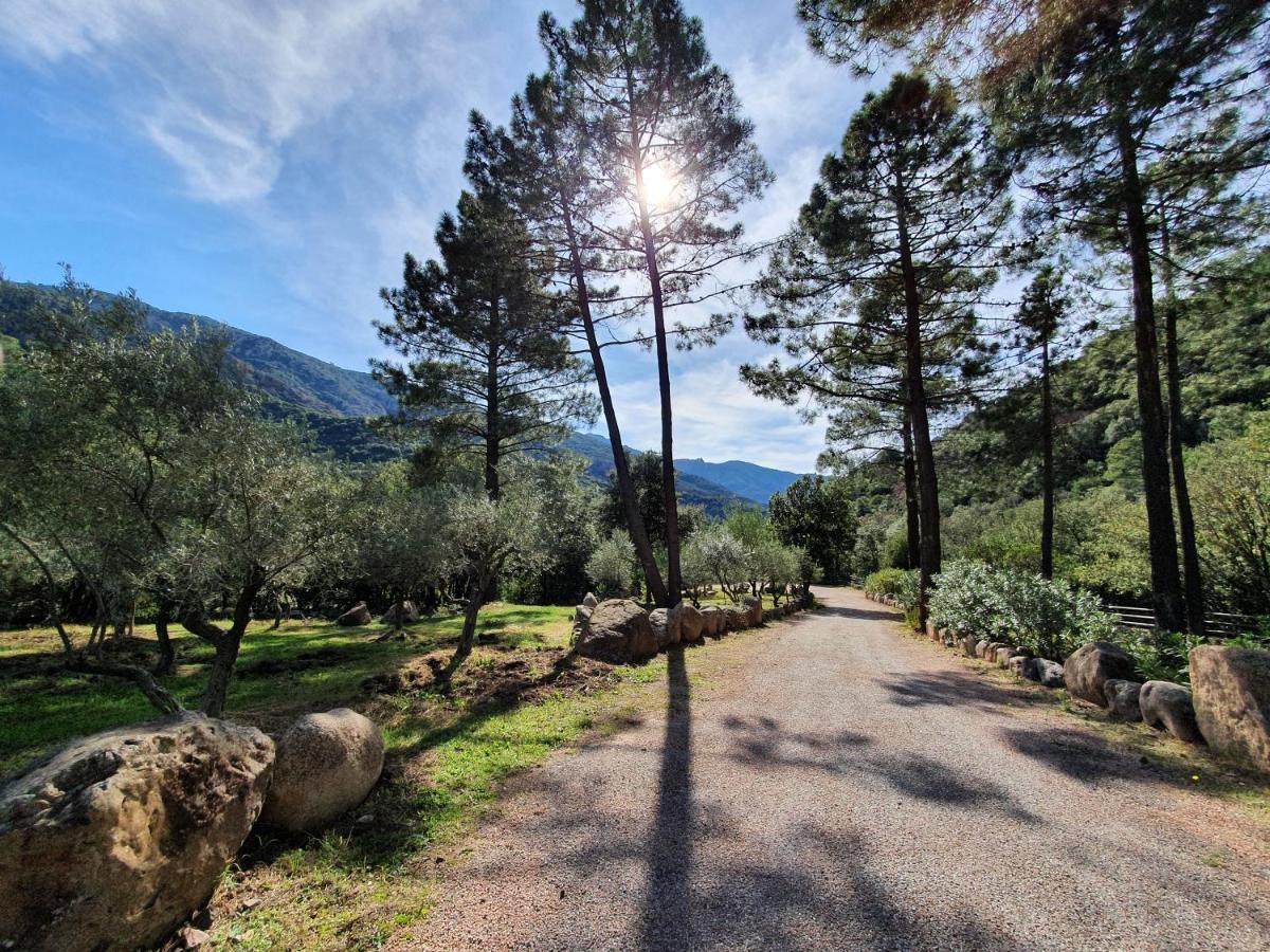 Domaine Codaleone Serriera (Corsica) Exterior foto