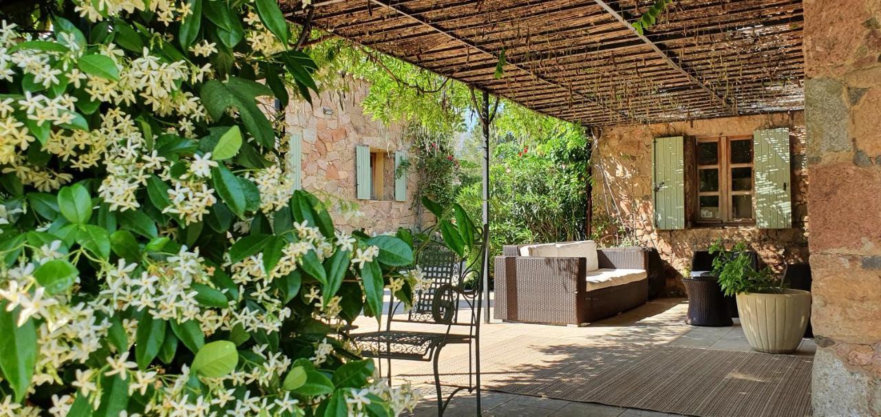 Domaine Codaleone Serriera (Corsica) Exterior foto