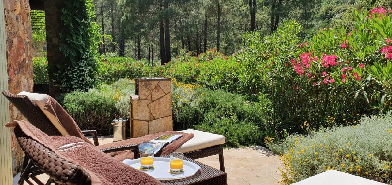 Domaine Codaleone Serriera (Corsica) Exterior foto