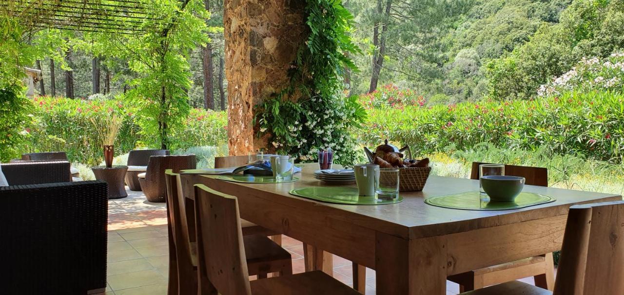 Domaine Codaleone Serriera (Corsica) Exterior foto