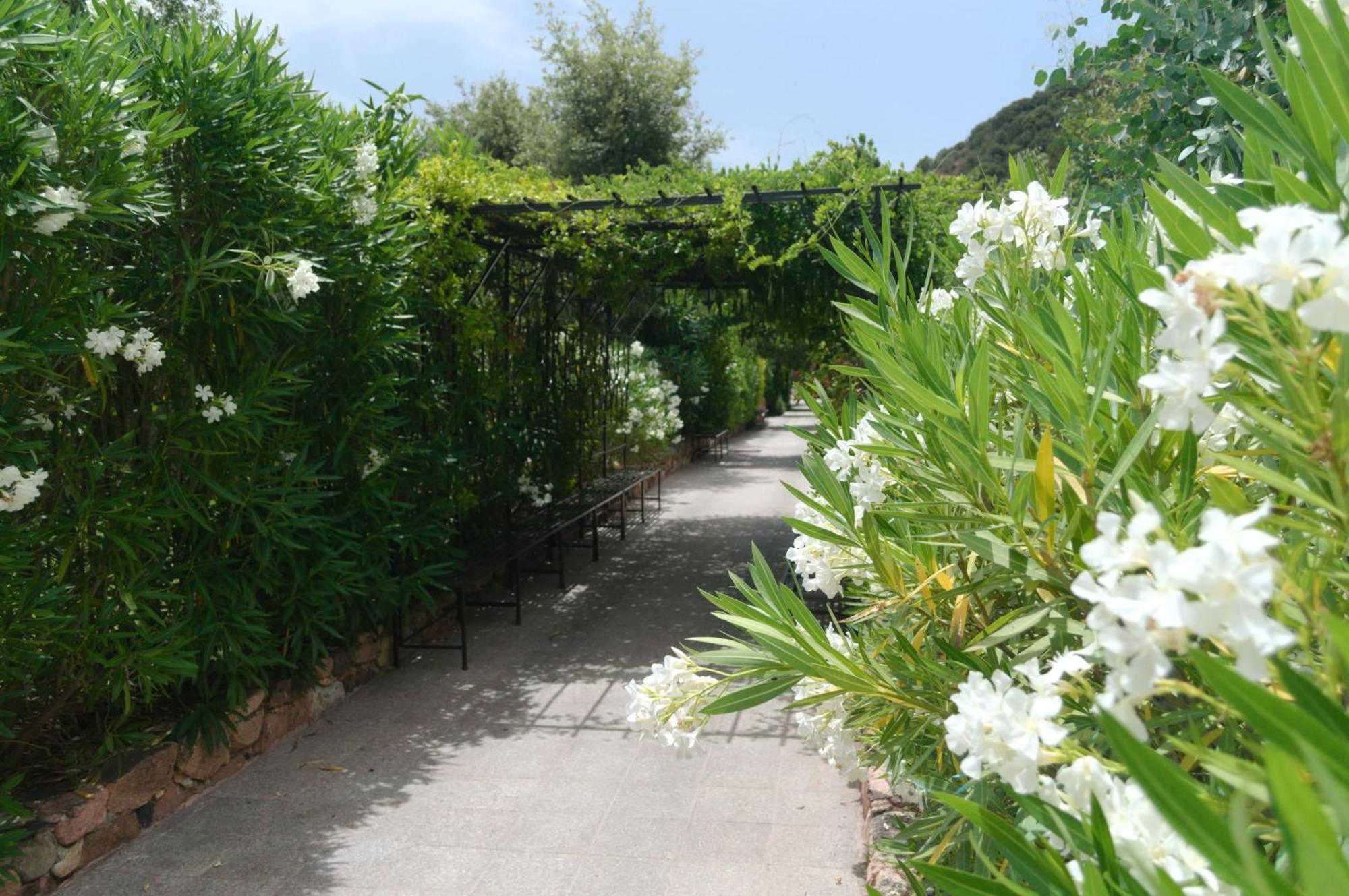 Domaine Codaleone Serriera (Corsica) Quarto foto